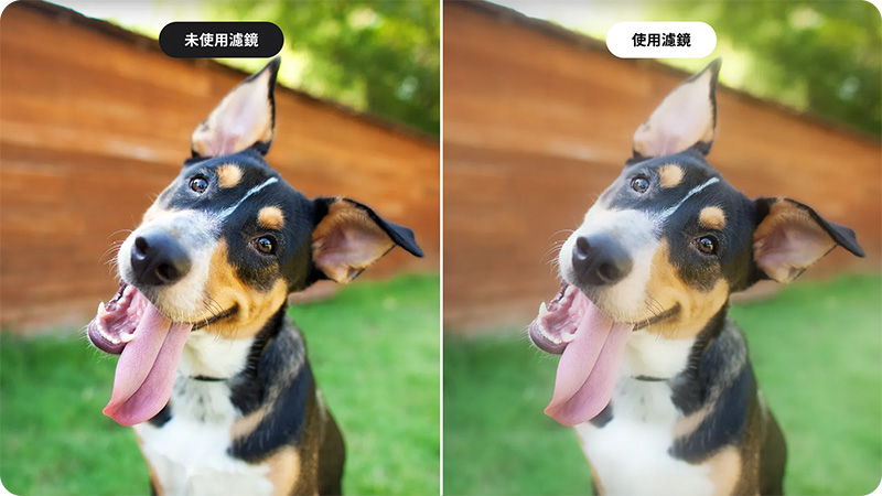Insta360 Ace Pro 2 黑柔濾鏡｜先創國際