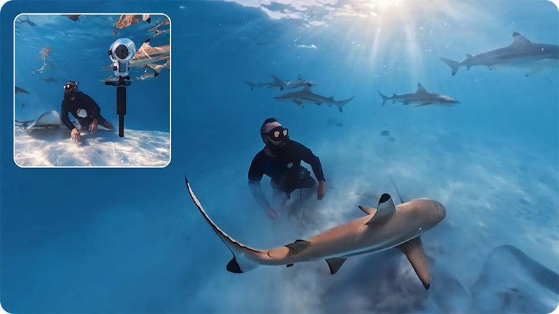 Insta360 水下拍檔｜先創國際