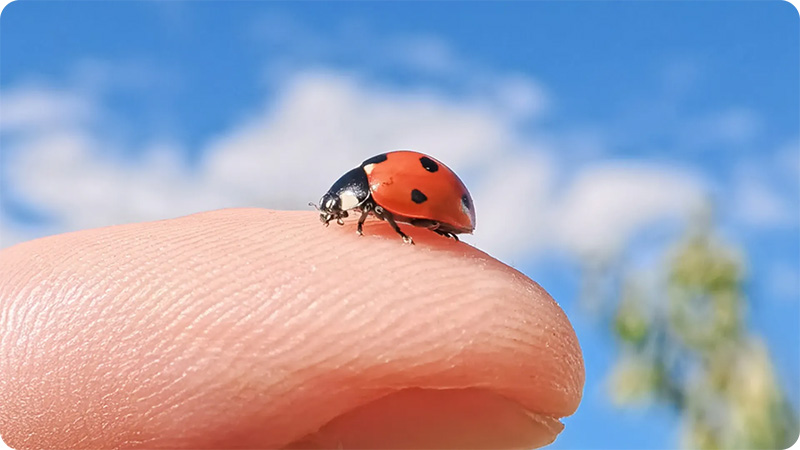 Insta360 GO Ultra 微距鏡｜先創國際